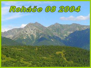 Rohace 2004